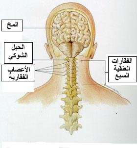 صورة منشور